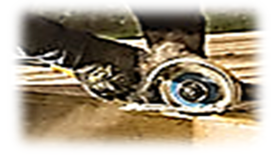 flap disc application